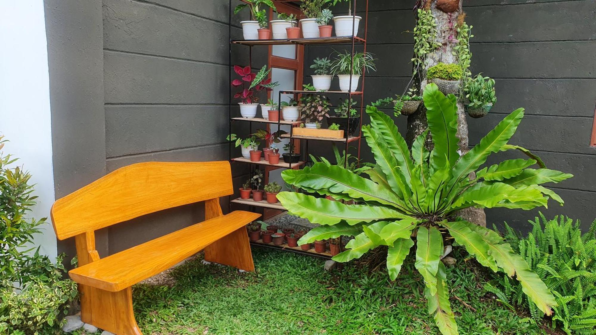 Amadeo The Farm Shack By Sms Hospitality B&B 외부 사진